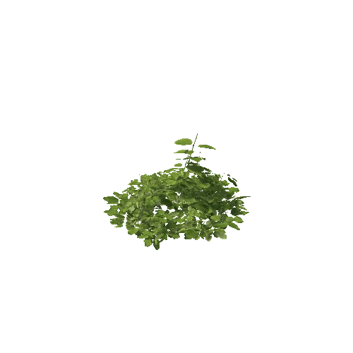 Plant 22_LOD_1